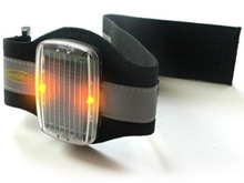 anklelite leg band